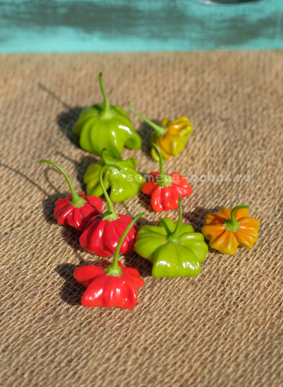 Перец острый Brazilian Starfish (Бразильская Морская Звезда), 10 шт