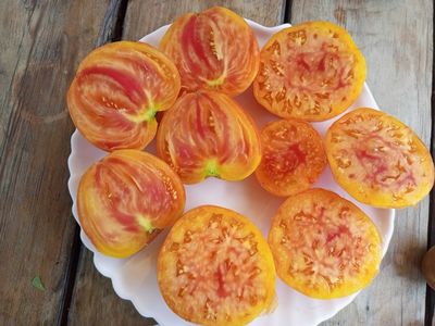 Томат Желтый полосатый Кармеллы (Carmella’s Yellow Stripes)