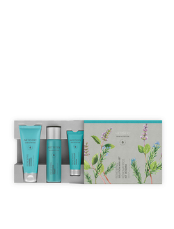 ARTISTRY SKIN NUTRITION Набор мини-средств против морщин «Обновление кожи»