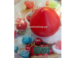 Томат Северная корона