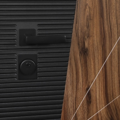 Стальная дверь   Сапсан с зеркалом (адаптивная замковая часть)