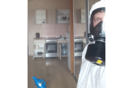 Дезинсекция и дезинфекция