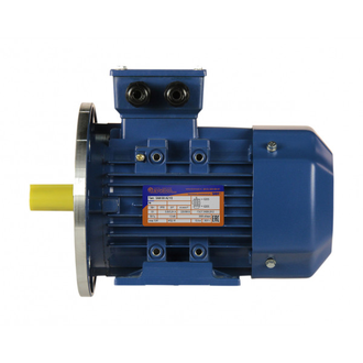 Электродвигатель 5АИ 80А6 (0,75 кВт) IM 2081