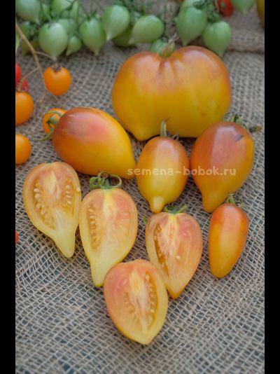 Томат Персик Каплевидный, 10 шт