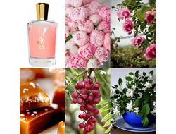 Orlov Paris Out Of The Box