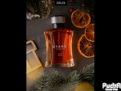 Dilis Туалетная вода мужская Stark POWER | Дилис