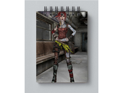 Блокнот Borderlands, Бордерленд №6