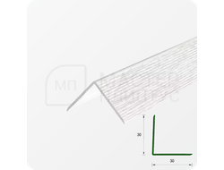 УГОЛ ДЕКОРАТИВНЫЙ 10Х10 УП 01-27.2700.501Л СЕРЕБРО (матовый)
