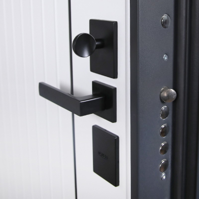 Стальная дверь   Спектра. Заказная модель.