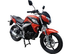 Мотоцикл Racer RC300CK-N Fighter