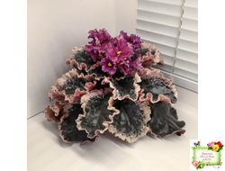 ВаТ-Калейдоскоп (Т. Валькова) 2015 г.