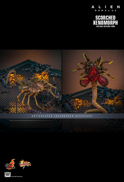 ПРЕДЗАКАЗ - Чужой (Ромул) - Коллекционная ФИГУРКА 1/6 Scorched Xenomorph Alien: Romulus (MMS784) - Hot toys ?ЦЕНА: 48600 РУБ.?