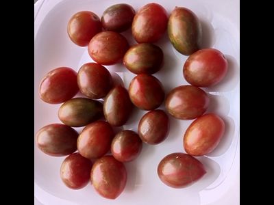 Томат черри Шоколадные брызги (Chocolate Sprinkles)