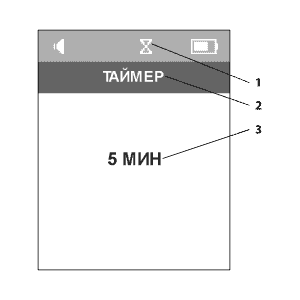 Окно установки таймера аппарата ДЭНАС ПКМ