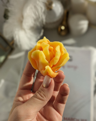 Тюльпан махровый