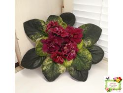 ЕК-Жара (Е. Коршунова) 2018 г.