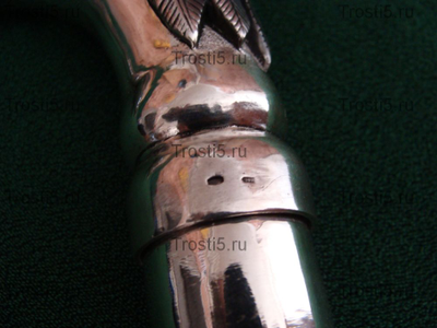 Трость "Серебряный беркут"