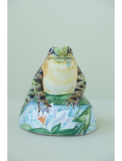 Лягушка на камушке