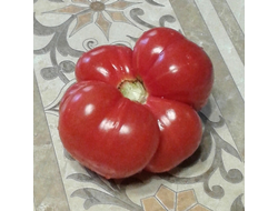 Семена томата Тетушка Лу подземная железная дорога