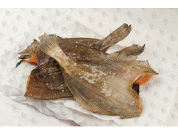 Камбала Ерш