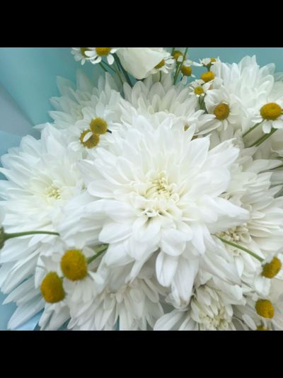 Букет из кустовой хризантемы и ромашек