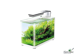 Аквариум Atman RGT-35 белый, 13 литров (350х180х260 мм)
