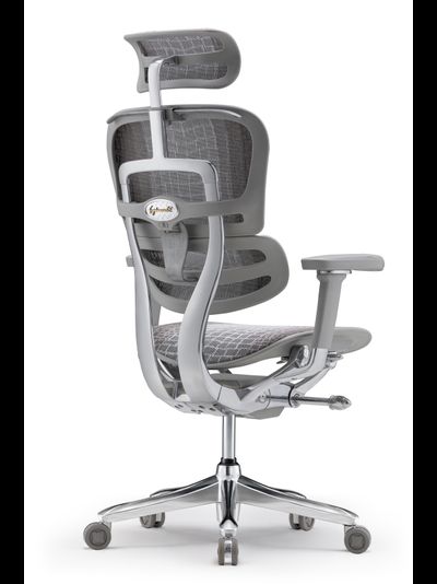 Кресло Comfort Workspace Ergohuman Everest Special Edition