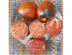 Томат Паскаль из  Пикардии (Pascal de Picardie), США