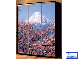 Ширина 1800/2100/2400 Высота 2200/2400 Глубина 450