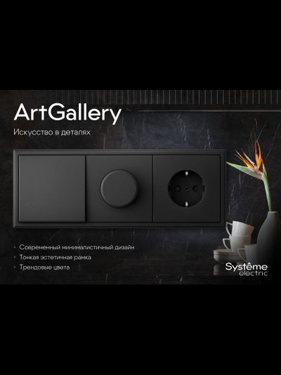 Розетки и выключатели ArtGallery Systeme Electric