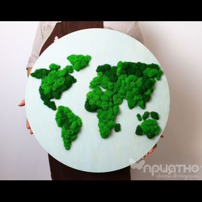 ЖИВАЯ ЭКО-КАРТИНА 1041