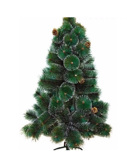 Елка-сосна пушистая со снежными кончиками