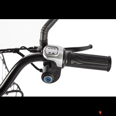 Велогибрид GREEN CITY e-ALFA new Темно-серый