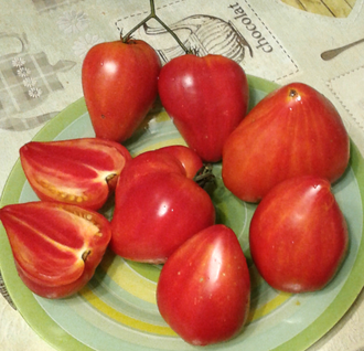 Семена томата Сердце абрикосовой зебры