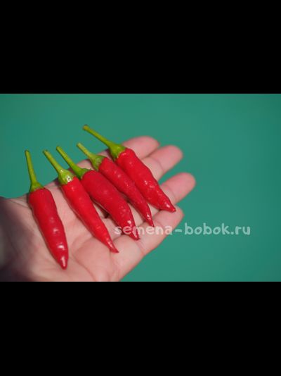 Перец острый Chile Santaka Hot Asian, 10 шт