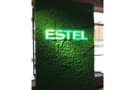 Вывески и предметы декора из стабилизированного мха