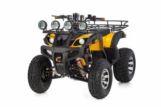 Квадроцикл RAPTOR MAX PRO 250 CC фото