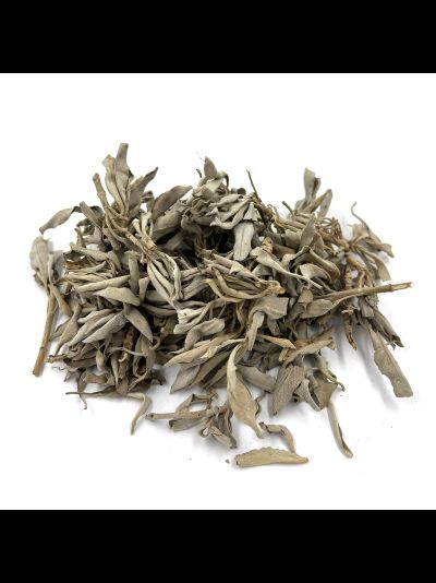 Листья с ветками Белого Шалфея