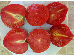 Томат KAS-21, Польша