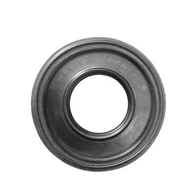 Сальник 30x52/60x11/15