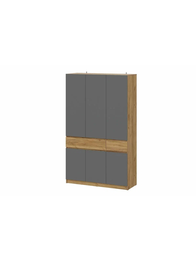 Авиньон шкаф трехстворчатый Дуб крафт золотой/Графит серый