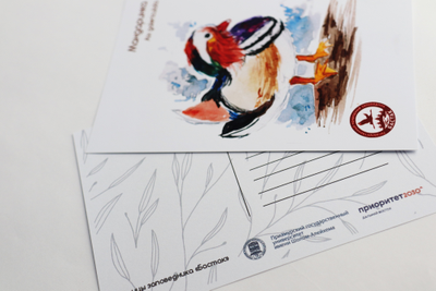 Набор почтовых открыток «Птицы заповедника «Бастак»          (12 шт.)