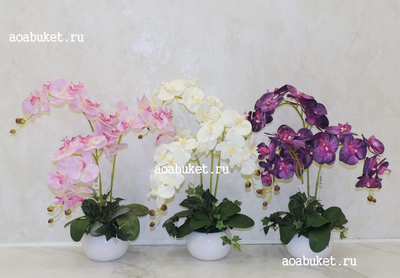 Композиция орхидея белая три ветки № ОР021