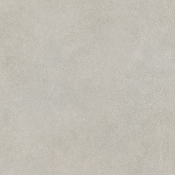 (С318) Сегни Светлый