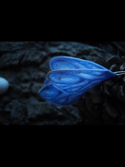 Длинные серьги на дугах &quot;Крылышки феи Небесной Лазури&quot;