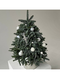 Елочка из нобилиса 65-70 см