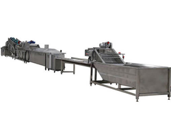 линия сушки овощей, фруктов и ягод