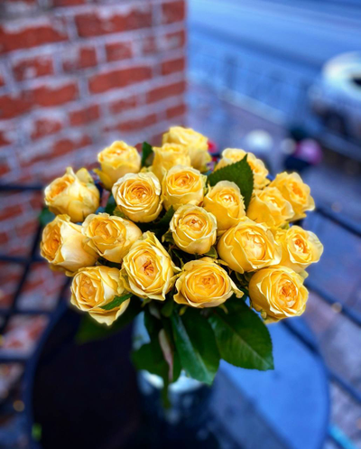 Роза Россия 50 см 19 шт