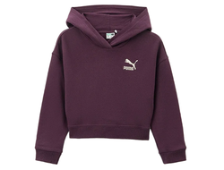 Худи Puma Better Classics Hoodie TR G Wine