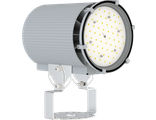 Светодиодный прожектор ДСП 27-135-850-К15